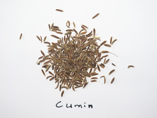 Black Cumin (Bunium bulbocastanum) seeds