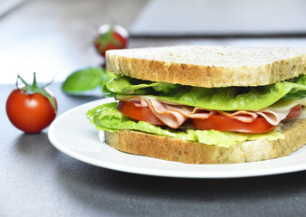 Club sandwich with ham and cheese, close-up shot. Delicious turkey and salad sandwich or toast with tomatoes and cheese on a white plate.