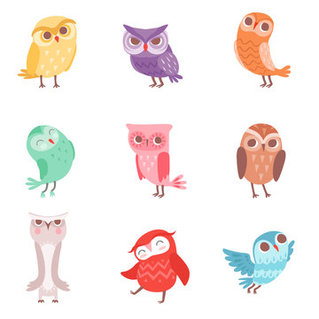 Cute cartoon colorful owls set, lovely owlets vector Illustrations
