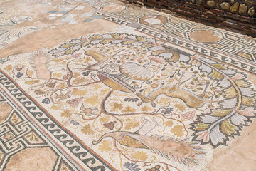 Fototapeta na wymiar Ancient tiled mosaics depicting nature at the ruins of Heraclea Lyncestis in Bitola, Republic of Macedonia
