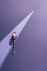 Easter painted egg in spoon on purple background with sunbeam