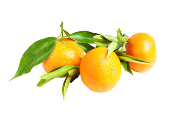 Fresh ripe tangerines mandarine with green leaves isolated on white background. Life style from orange fruit