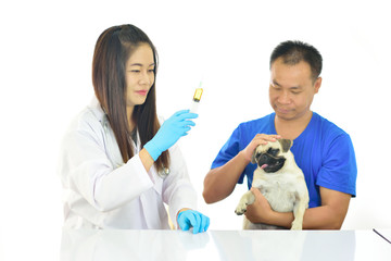 Asian female veterinarian prepare rabies vaccine for inject to little dog
