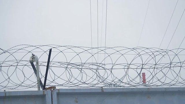 Barbed wire on concrete fence on the background of the grey sky