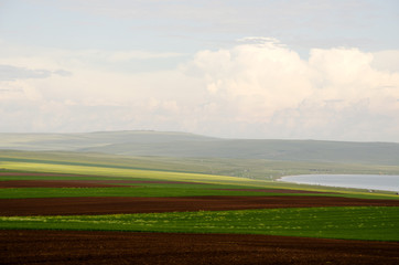 Fertile fields of Russia