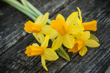 bouquet de narcisses coupées sur une table en bois