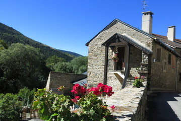 Village de montagne avec des fleurs