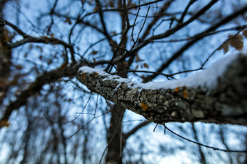 Albarracín en invierno