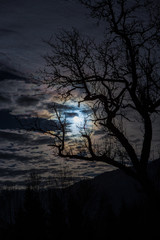 Sonne/Mond durch Wolken mit Baum