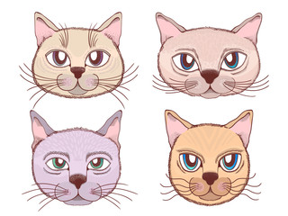 Cats face heads emoticons vector set in white background.