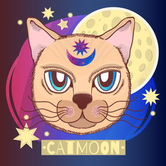 Vector illustration with a cat, moon, stars. Magical and fairy. Suitable for postcards, printing, posters, textiles.