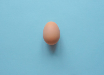 Chicken egg on a blue background.