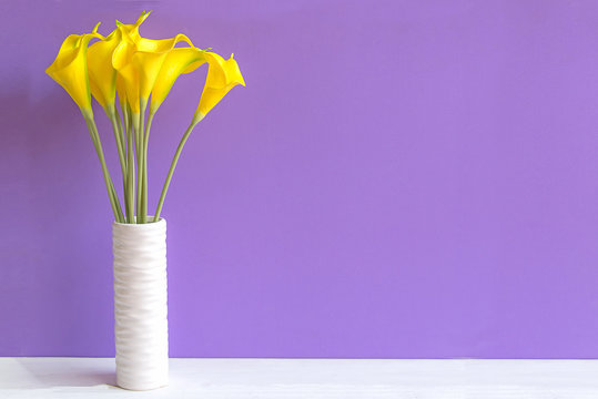 Fototapeta Purple wall with calla lily yellow flower on shelf white wood, copy space for text. Still life Concept