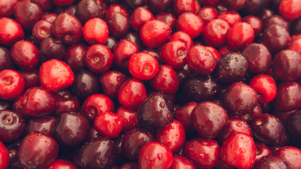 Cherry. Fresh organic berries macro. Fruit background