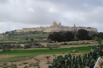 Fototapeta na wymiar Citadel of Mdina, Malta