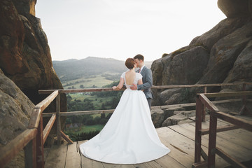 Kissing wedding couple staying over beautiful landscape