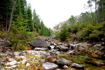 Le calme de l'eau