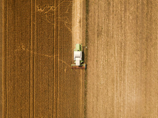 Aerial view of combine harvester harevsting wheat