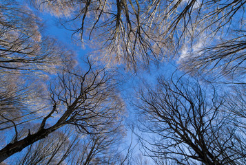 Monti Sabini (Rieti, Italy) - The snow-capped mountains in the province of Rieti, Sabina area, near Monte Terminillo and the Tiber river