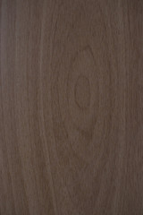 Naklejka premium The texture of the brown panel under the tree with ring-shaped shapes