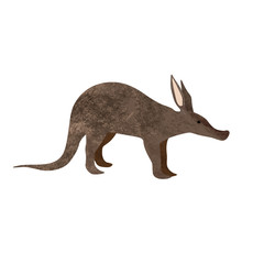 Walking Aardvark animal cartoon character isolated on white background.
