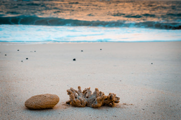 Waves touching the shore