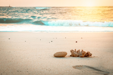 Waves rolling down the shore with a stone and coral in the foreground