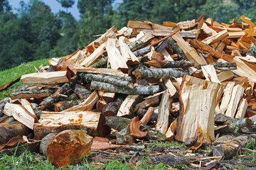 Firewood Pile For Winter