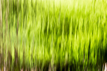 Wall from water falls on nature as background