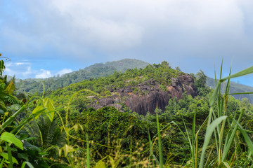 Fototapeta na wymiar Mountain Landscape with Jungles in Seychelles
