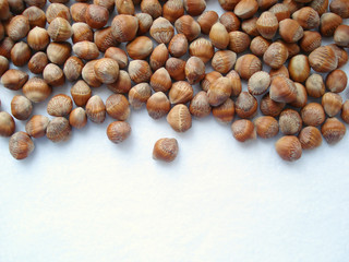 The hazel is a tree-like top view. A heap of bear-nut in the shell. Hazelnut seeds on a white background.
