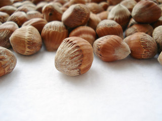 A hazel tree is a close-up. A lot of bear-nut in the shell. Hazelnut seeds on a white background.