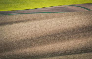 Gray spring field abstract background