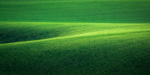 Green and tirquoise spring field abstract background
