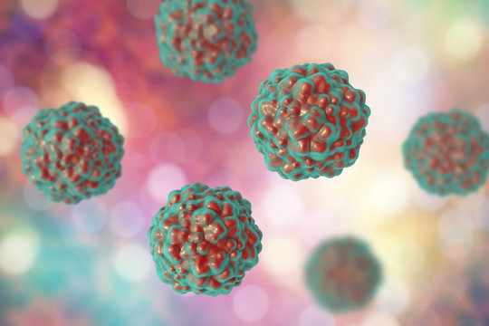 TTV hepatitis virus, transfusion transmitted or torque teno virus, 3D illustration