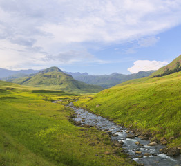 River flowing in green valley