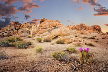 Rock Formations in Alabama Hills