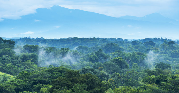 Mexico Jungle Landscape
