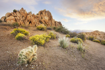 Rock Formations in the desert