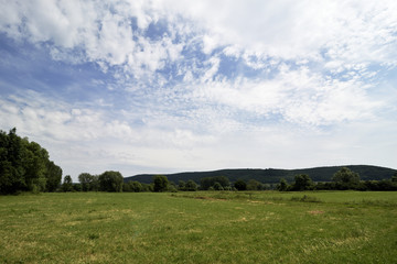 Fototapeta na wymiar Gruene Wiese mit Baeumen, blauem Himmel und Wolkenh, Green meadow with trees blue scy and clouds