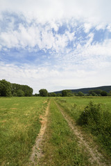 Fototapeta na wymiar Gruene Wiese mit Baeumen, blauem Himmel und Wolkenh, Green meadow with trees blue scy and clouds