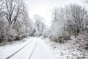 Obraz premium winter in the village