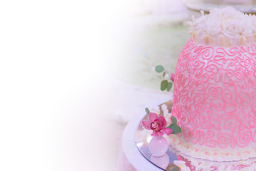 Colorful large pink cake with white roses on the background of the fountain