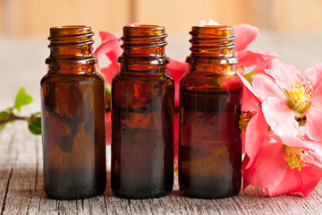 Three bottles of essential oil with red blossoms
