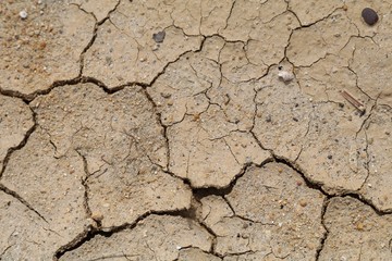 Dry soil