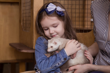 Family in the contact zoo, the mother and daughter are holding a carnivorous white ferret and stroking, a kind animal.