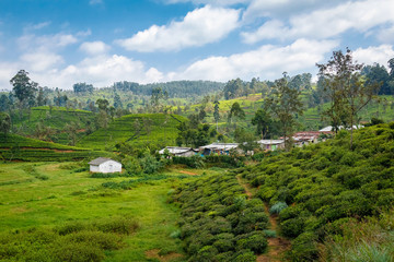 Fototapeta na wymiar The rural landscape of the central part of Sri Lanka