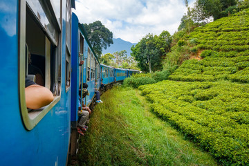 On the way from Kandy to Ella among tea plantations and mountains, Sri Lanka