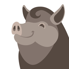 boar wild head face vector illustration flat