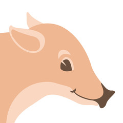 boar wild head face vector illustration flat